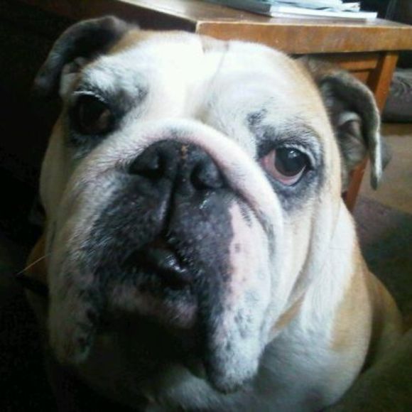 Meet your Posher, Tim - Picture 1 of 1